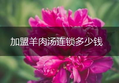 加盟羊肉汤连锁多少钱