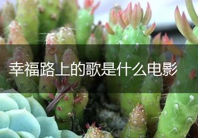 幸福路上的歌是什么电影