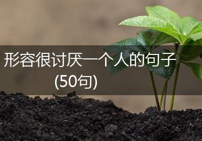 形容很讨厌一个人的句子(50句)