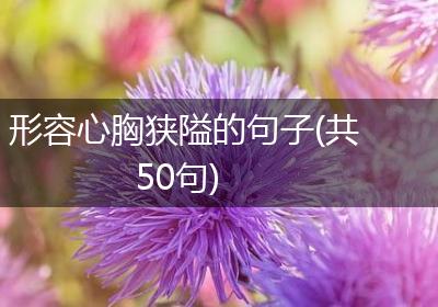 形容心胸狭隘的句子(共50句)