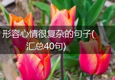 形容心情很复杂的句子(汇总40句)