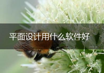 平面设计用什么软件好