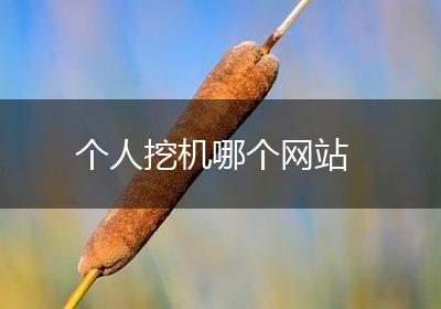 个人挖机哪个网站