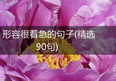 形容很着急的句子(精选90句)