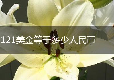 121美金等于多少人民币