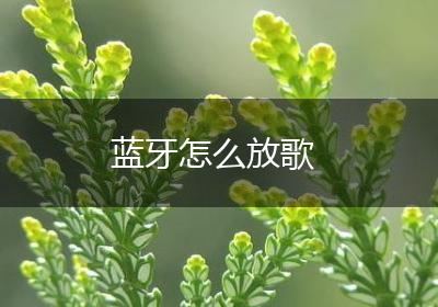 蓝牙怎么放歌