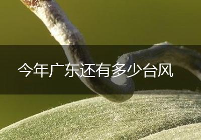 今年广东还有多少台风