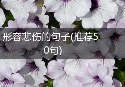 形容悲伤的句子(推荐50句)