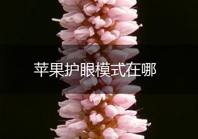 苹果护眼模式在哪