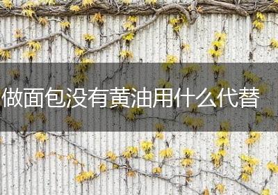 做面包没有黄油用什么代替