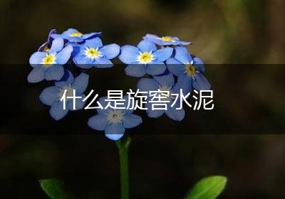 什么是旋窖水泥