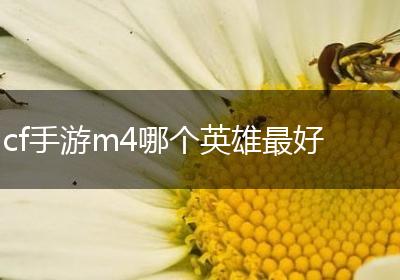 cf手游m4哪个英雄最好