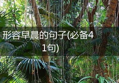 形容早晨的句子(必备41句)