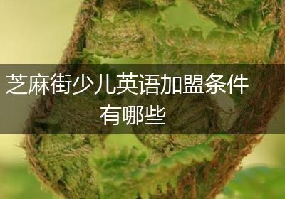 芝麻街少儿英语加盟条件有哪些