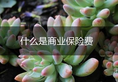 什么是商业保险费