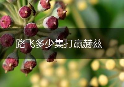 路飞多少集打赢赫兹