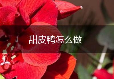 甜皮鸭怎么做