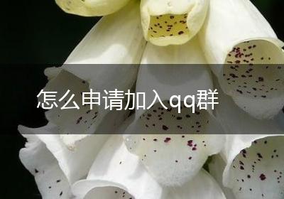 怎么申请加入qq群