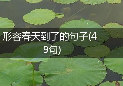 形容春天到了的句子(49句)