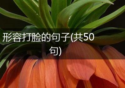 形容打脸的句子(共50句)