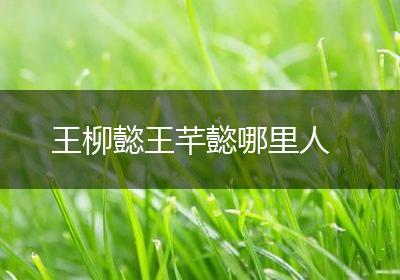 王柳懿王芊懿哪里人