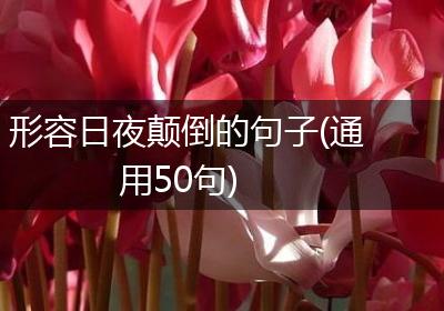 形容日夜颠倒的句子(通用50句)