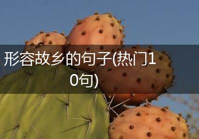 形容故乡的句子(热门10句)
