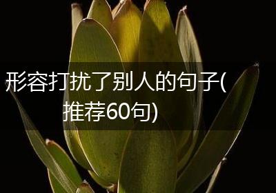 形容打扰了别人的句子(推荐60句)