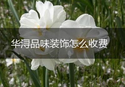 华浔品味装饰怎么收费