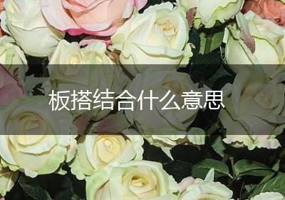 板搭结合什么意思