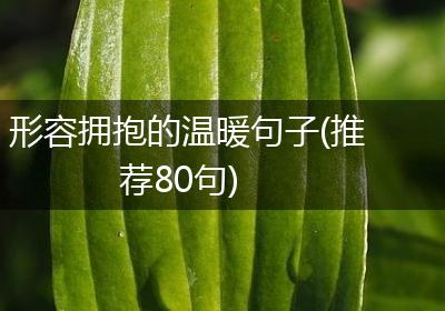 形容拥抱的温暖句子(推荐80句)