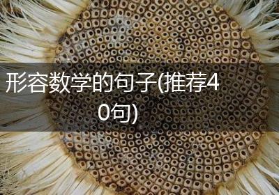 形容数学的句子(推荐40句)