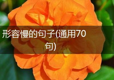 形容慢的句子(通用70句)