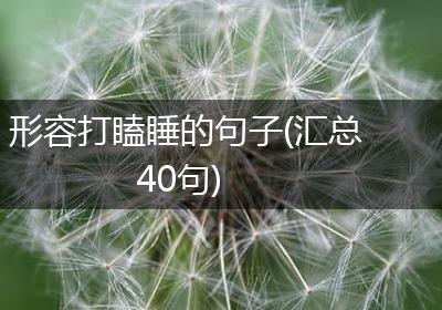 形容打瞌睡的句子(汇总40句)