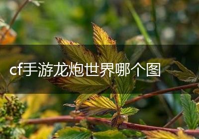 cf手游龙炮世界哪个图
