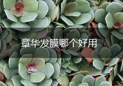 章华发膜哪个好用