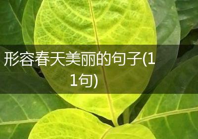 形容春天美丽的句子(11句)