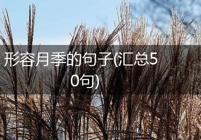 形容月季的句子(汇总50句)