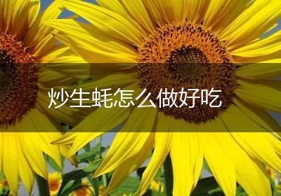炒生蚝怎么做好吃