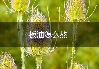 板油怎么熬