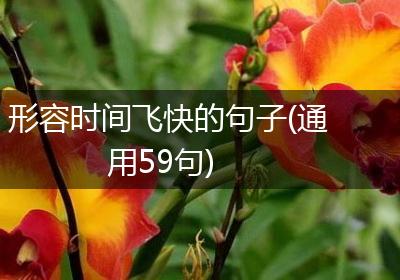 形容时间飞快的句子(通用59句)