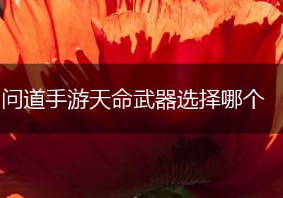 问道手游天命武器选择哪个