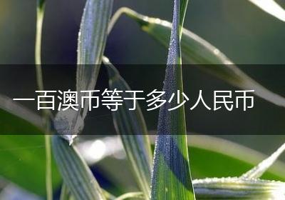 一百澳币等于多少人民币