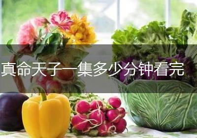 真命天子一集多少分钟看完