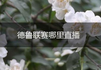 德鲁联赛哪里直播