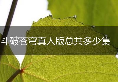 斗破苍穹真人版总共多少集