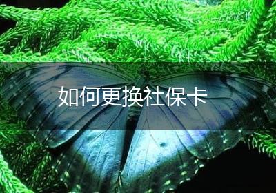 如何更换社保卡