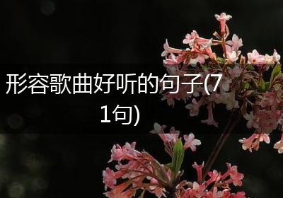 形容歌曲好听的句子(71句)