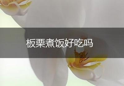 板栗煮饭好吃吗