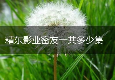 精东影业密友一共多少集